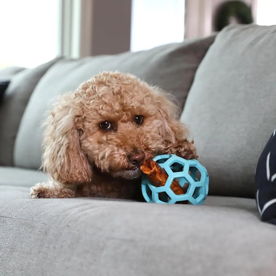 JW Hol-ee Roller – Balle Alvéolée Interactive pour Chien JW