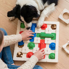 Jeu d’Intelligence Modulaire pour Chien - Labyrinthe Évolutif & Enrichissement Mental- Puzzle feeder -Plus Pack DOG & CAT ETOILES