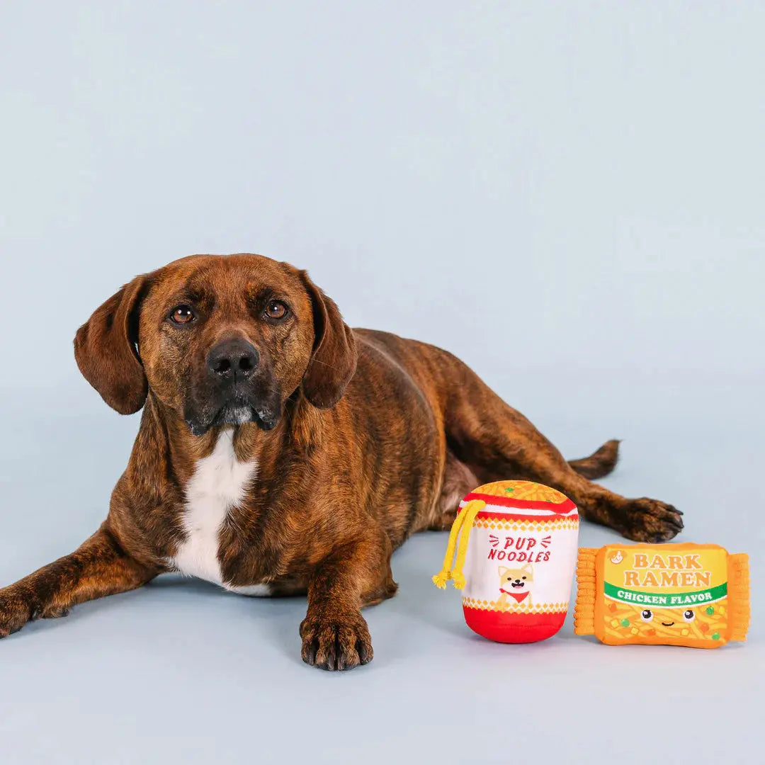 Jouet Chien - Noodles- Fringe DOG & CAT ETOILES