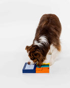 Jouet d’intelligence – Smarty set PAWZLER