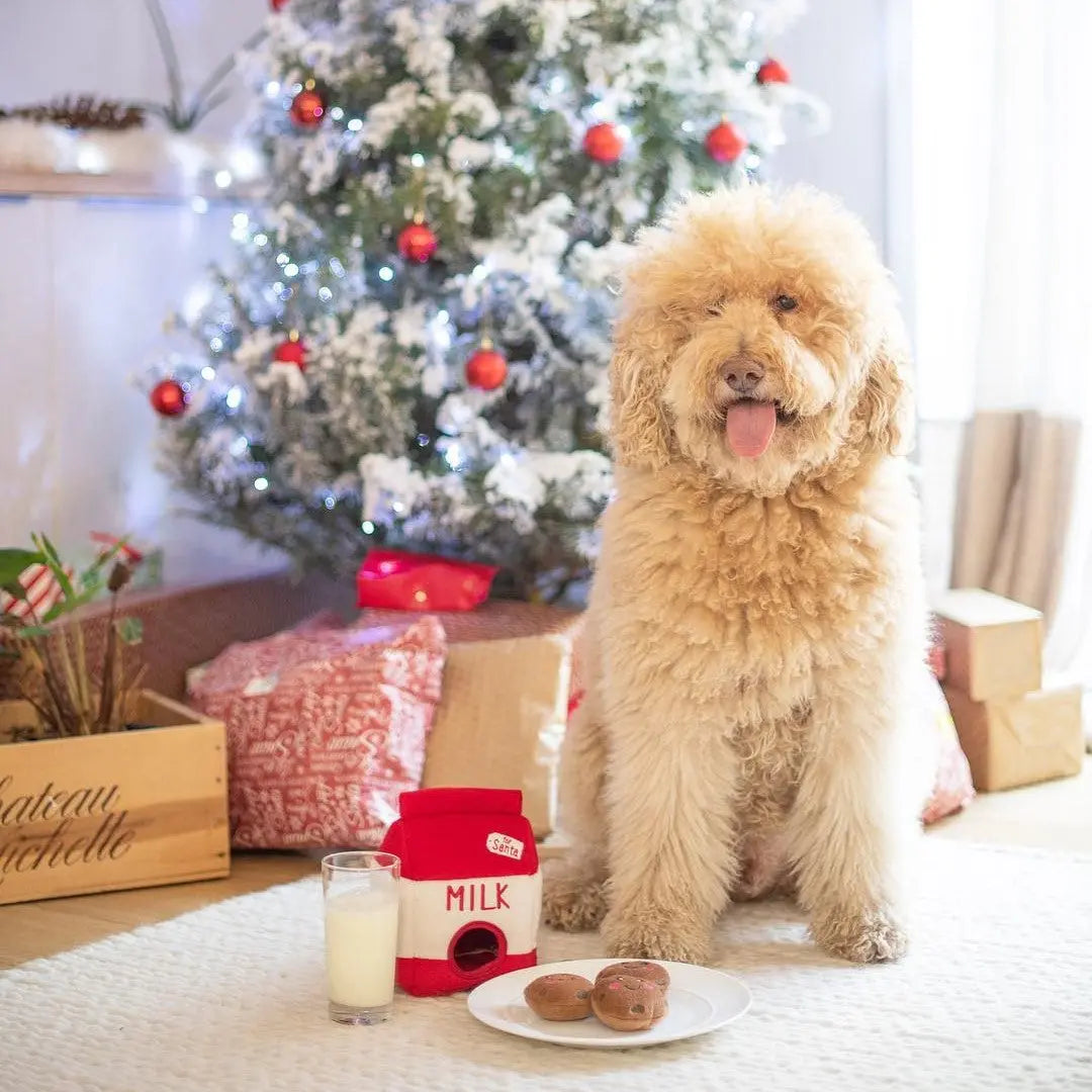 Jouet enrichissement – Lait et biscuit du Père Noël ZIPPYPAWS