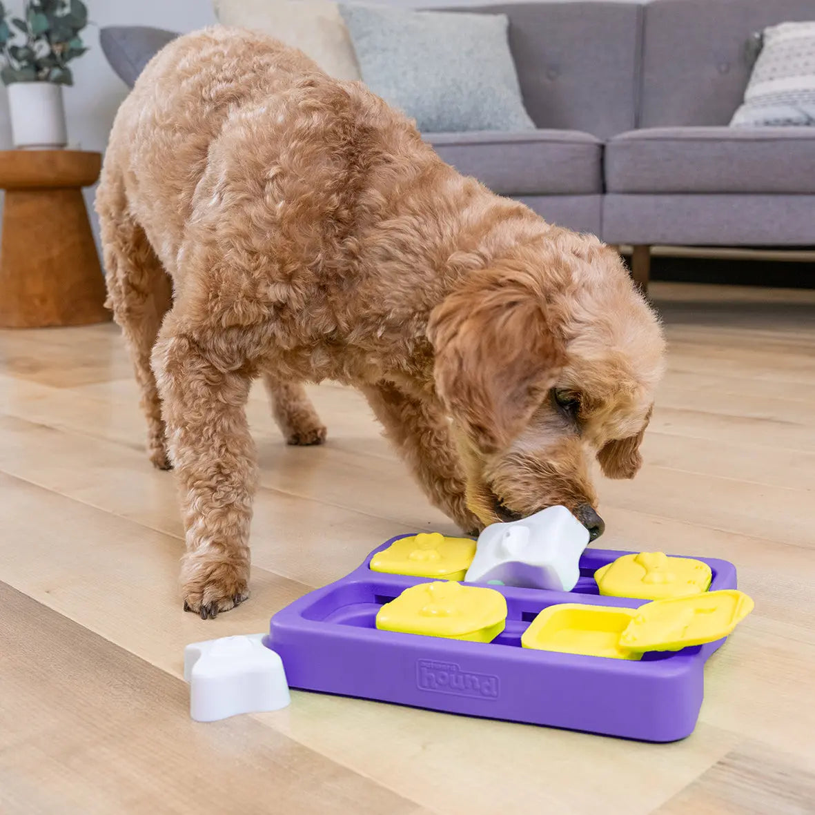 Jouet interactif - Dog Brick NINA OTTOSSON