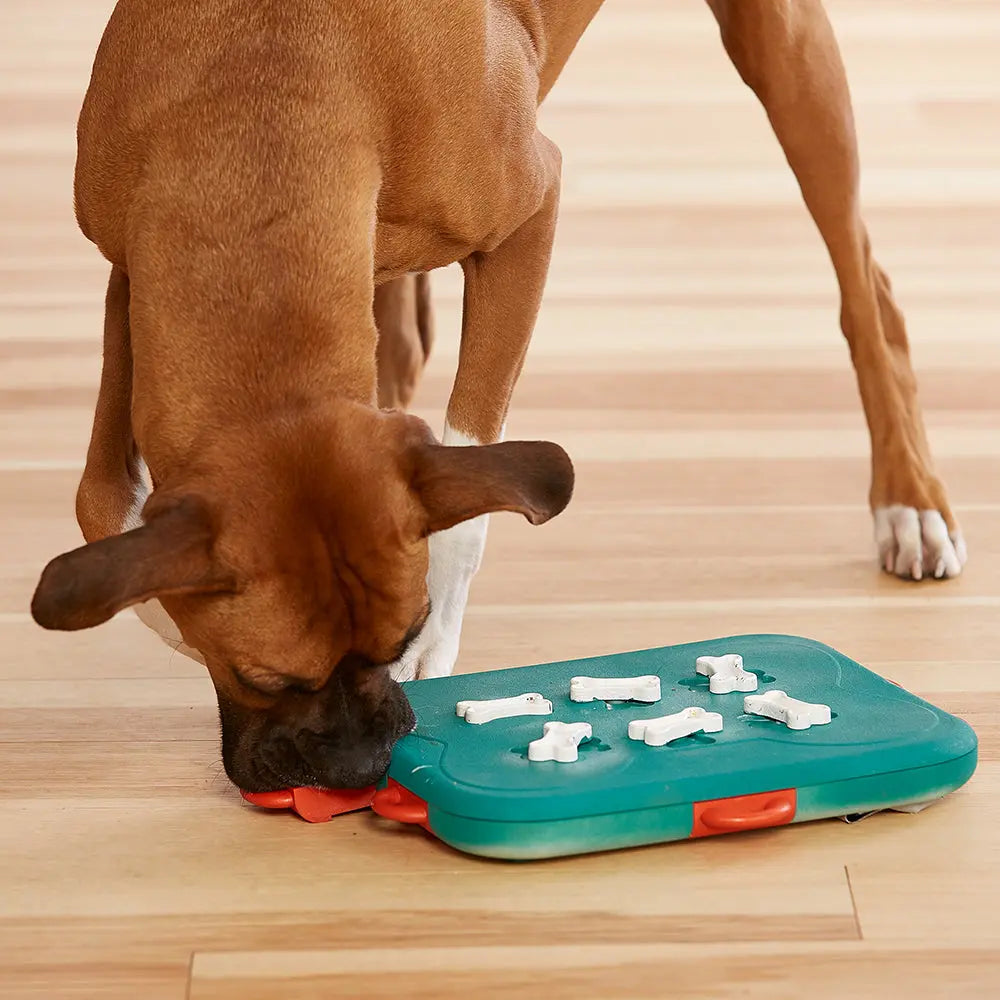 Jouet interactif - Dog Casino NINA OTTOSSON