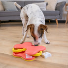 Jouet interactif - Dog Tornado NINA OTTOSSON