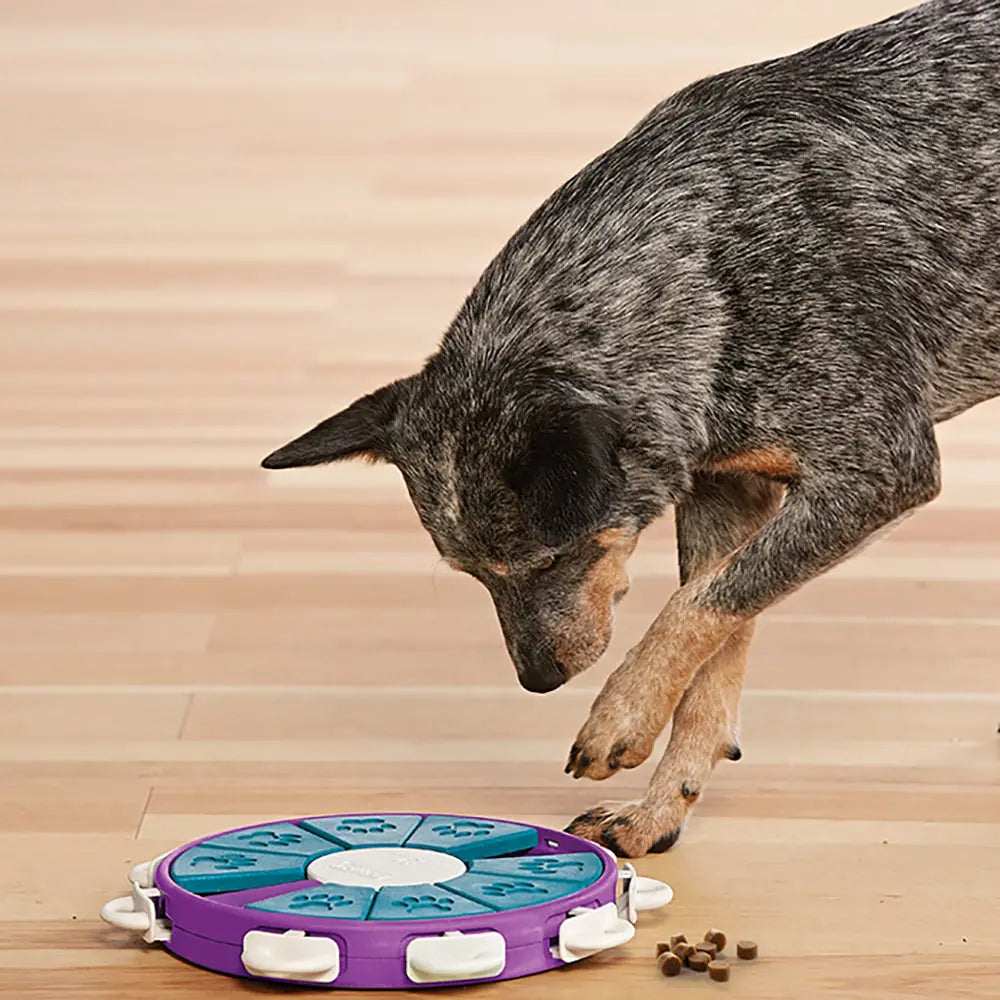 Jouet interactif - Dog Twister NINA OTTOSSON