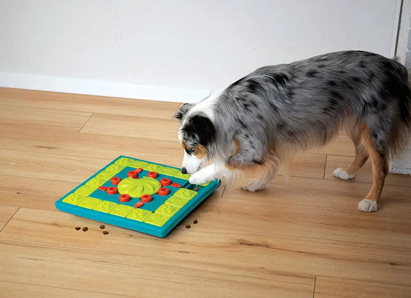 Jouet interactif - MultiPuzzle NINA OTTOSSON