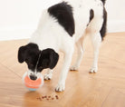 Jouet interactif - Rumble Puzzle NINA OTTOSSON