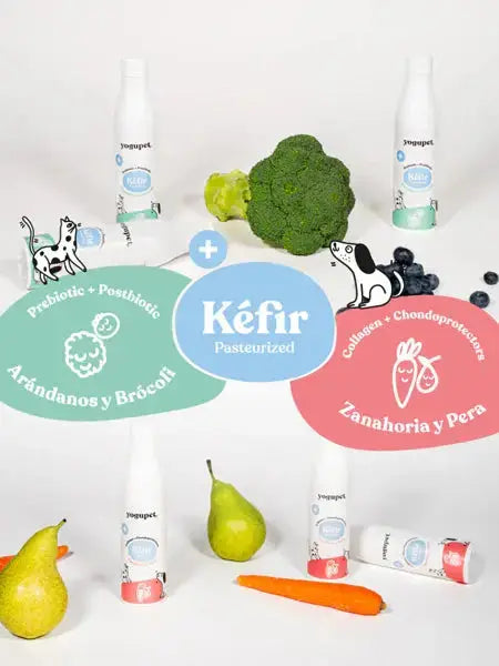 Kéfir Myrtilles Brocoli- Yogupet YOGUPET