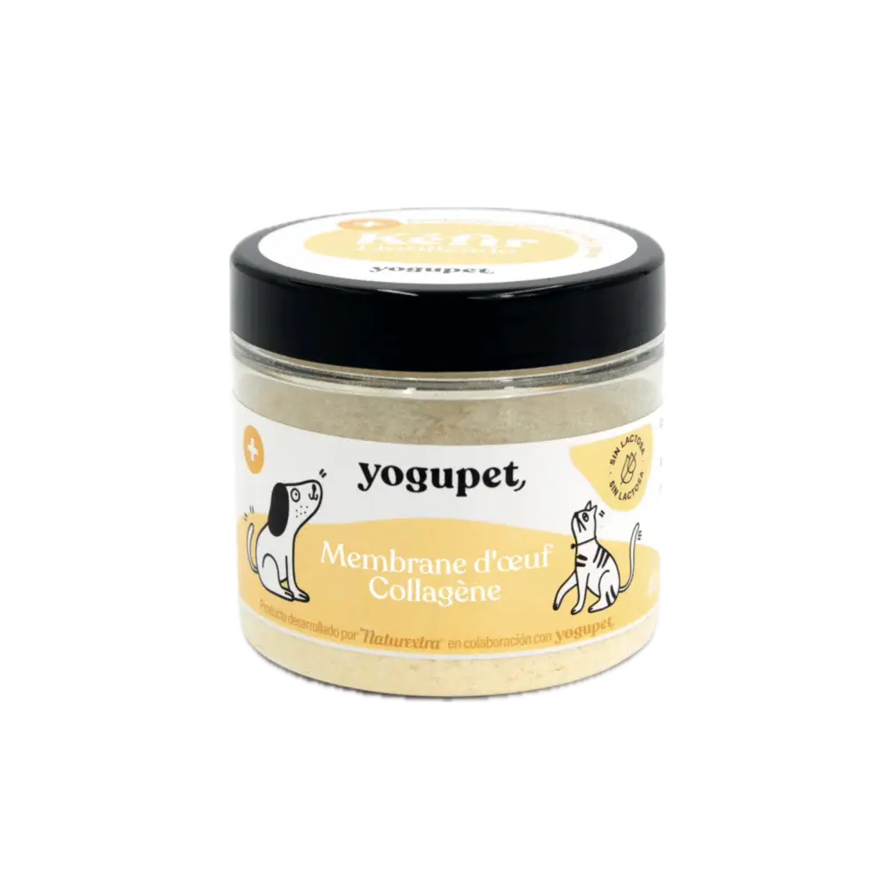 Kéfir lyophilisé -Anti Inflammatoire - Yogupet YOGUPET