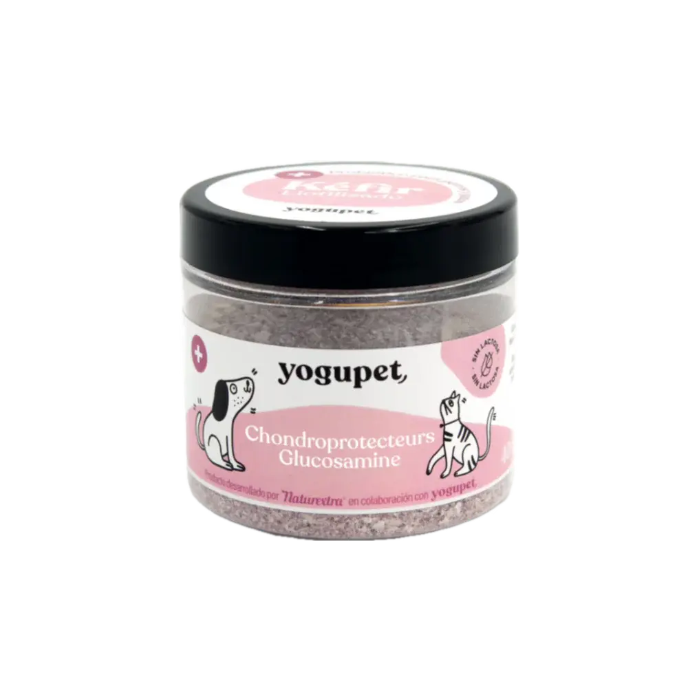 Kéfir lyophilisé -Articulaire- Yogupet YOGUPET