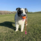 Kong -Bunji High-Viz Ball KONG