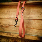 Laisse Personnalisée en Biothane DOG & CAT ETOILES