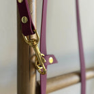 Laisse multipositions Personnalisée en PAWTEX DOG & CAT ETOILES