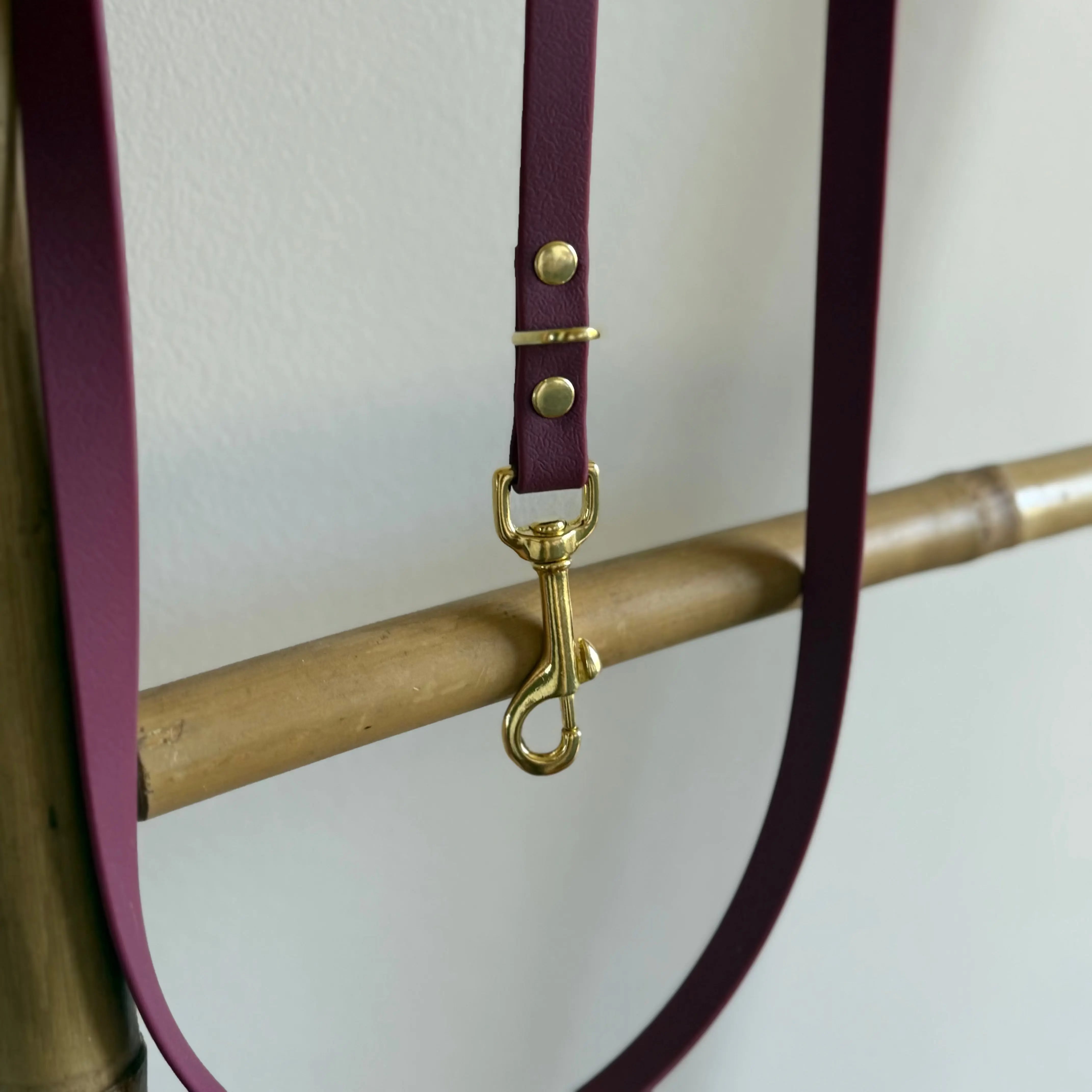 Laisse multipositions Personnalisée en PAWTEX DOG & CAT ETOILES