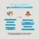 Les bouchées Anxiété DEXTER & MANGO