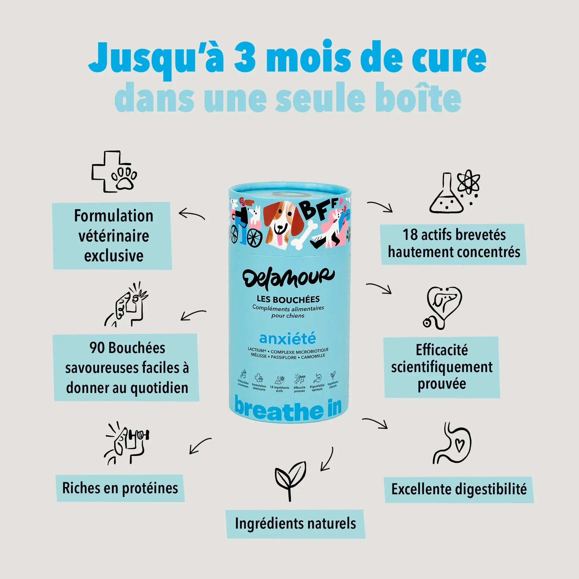 Les bouchées Anxiété DEXTER & MANGO