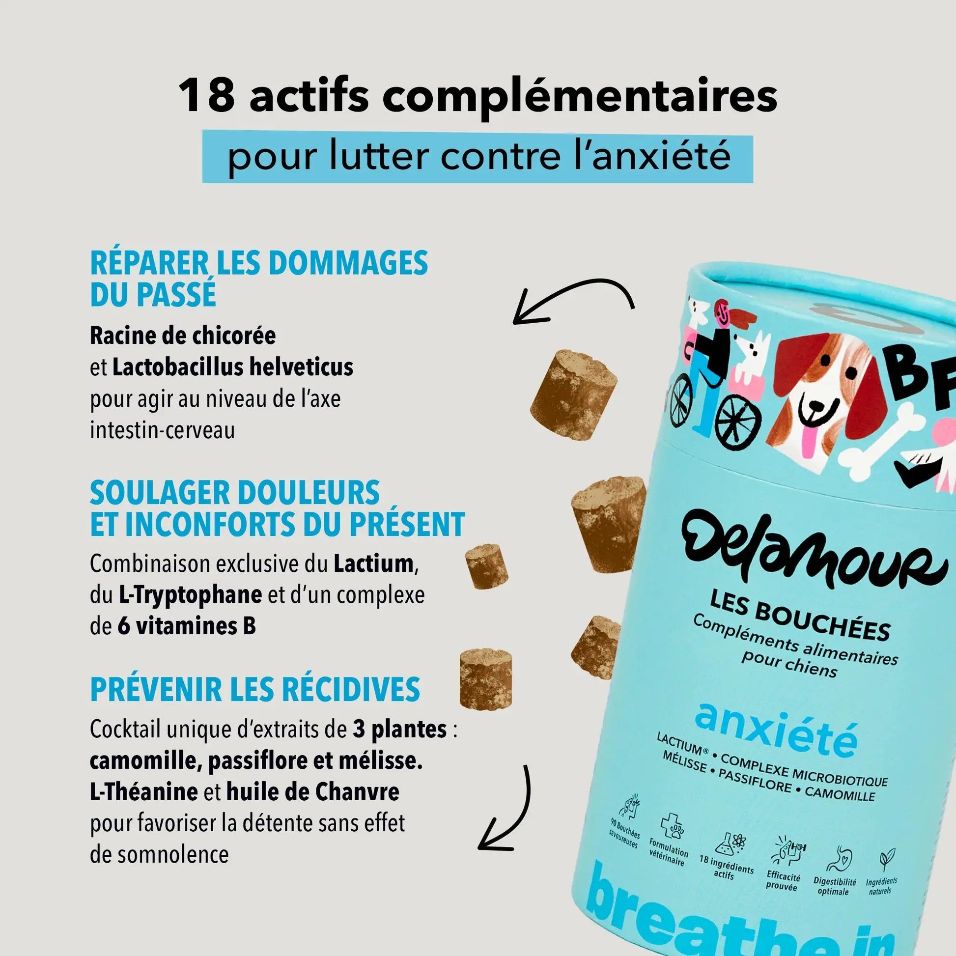 Les bouchées Anxiété DEXTER & MANGO