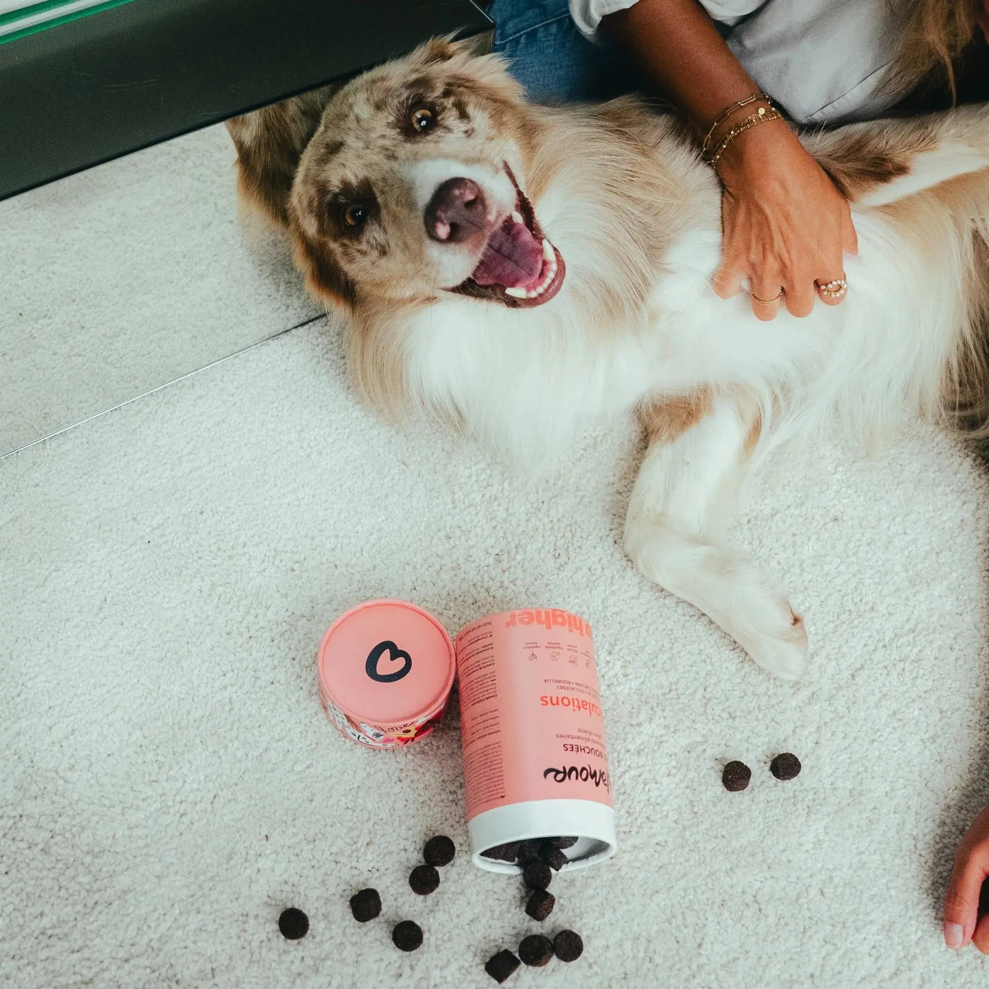 Les bouchées articulations DELAMOUR