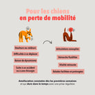 Les bouchées articulations DELAMOUR