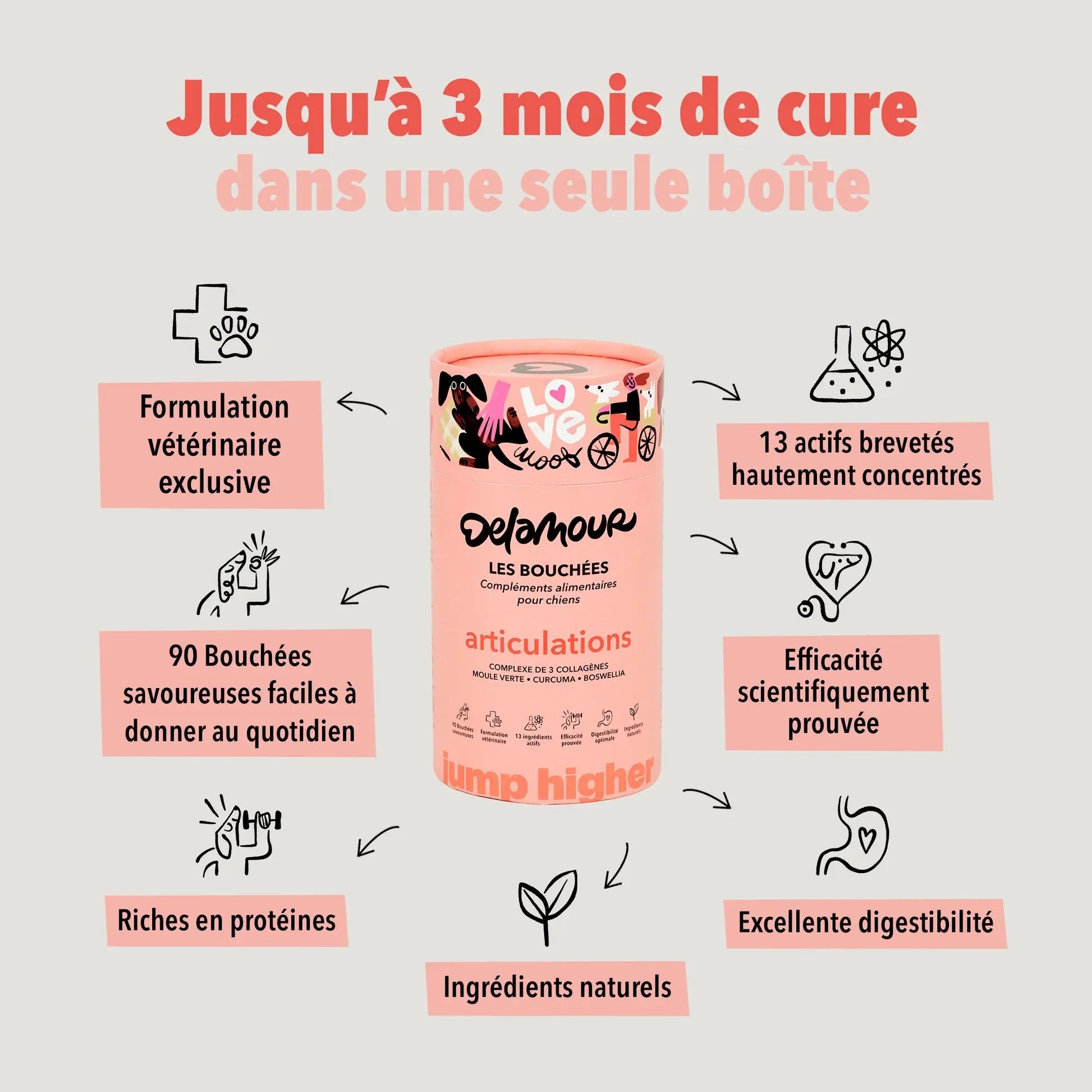 Les bouchées articulations DELAMOUR