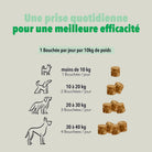 Les bouchées digestion DELAMOUR