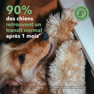 Les bouchées digestion DELAMOUR