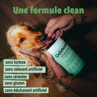 Les bouchées digestion DELAMOUR