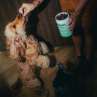 Les bouchées digestion DELAMOUR