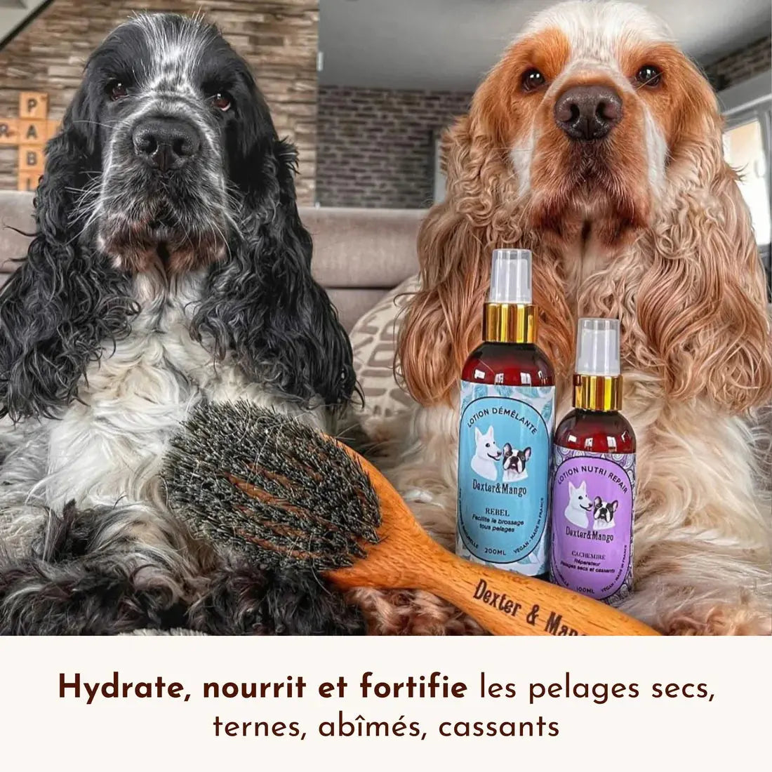 Lotion Nutri Repair Cachemire DEXTER & MANGO