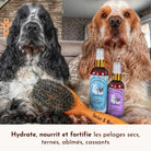 Lotion Nutri Repair Cachemire DEXTER & MANGO