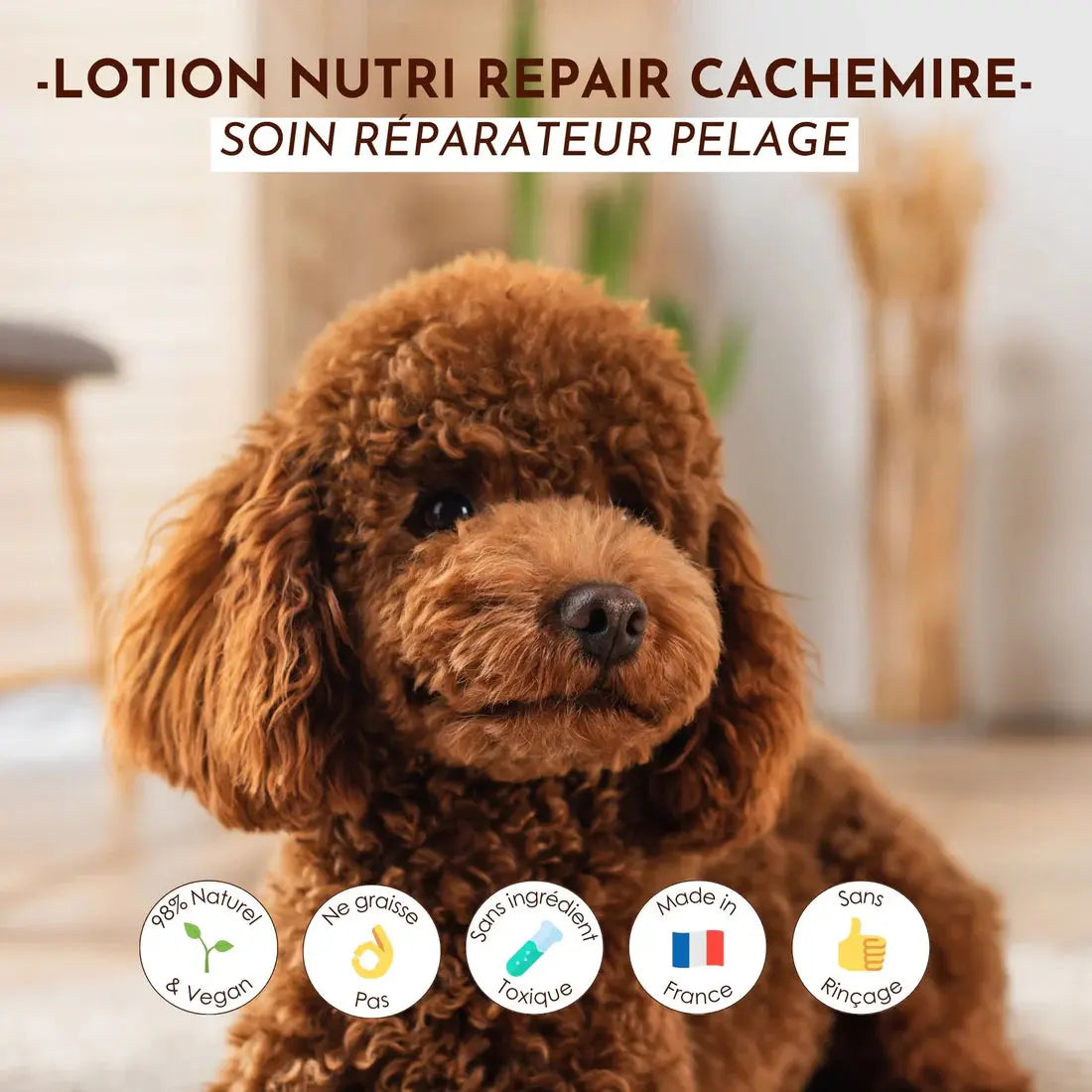Lotion Nutri Repair Cachemire DEXTER & MANGO