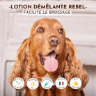 Lotion demelante Rebel DEXTER & MANGO