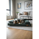 MAISON MOULIN - Canapé Orthopédique Déhoussable pour Chien MAISON MOULIN