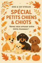 MATINÉE SPÉCIALE CHIOTS & PETITS CHIENS - 13 JUILLET 2025 (Copie) DOG & CAT ETOILES