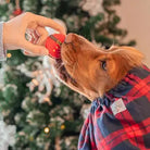 Macarons Ventre du Père Noël - Boîte Cadeau de Noël - Cooka's Cookies COOKA'S COOKIES