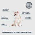 Marly & Dan -Croquettes Chaton Marly & Dan