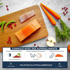 Marly & Dan -Croquettes Chaton Marly & Dan