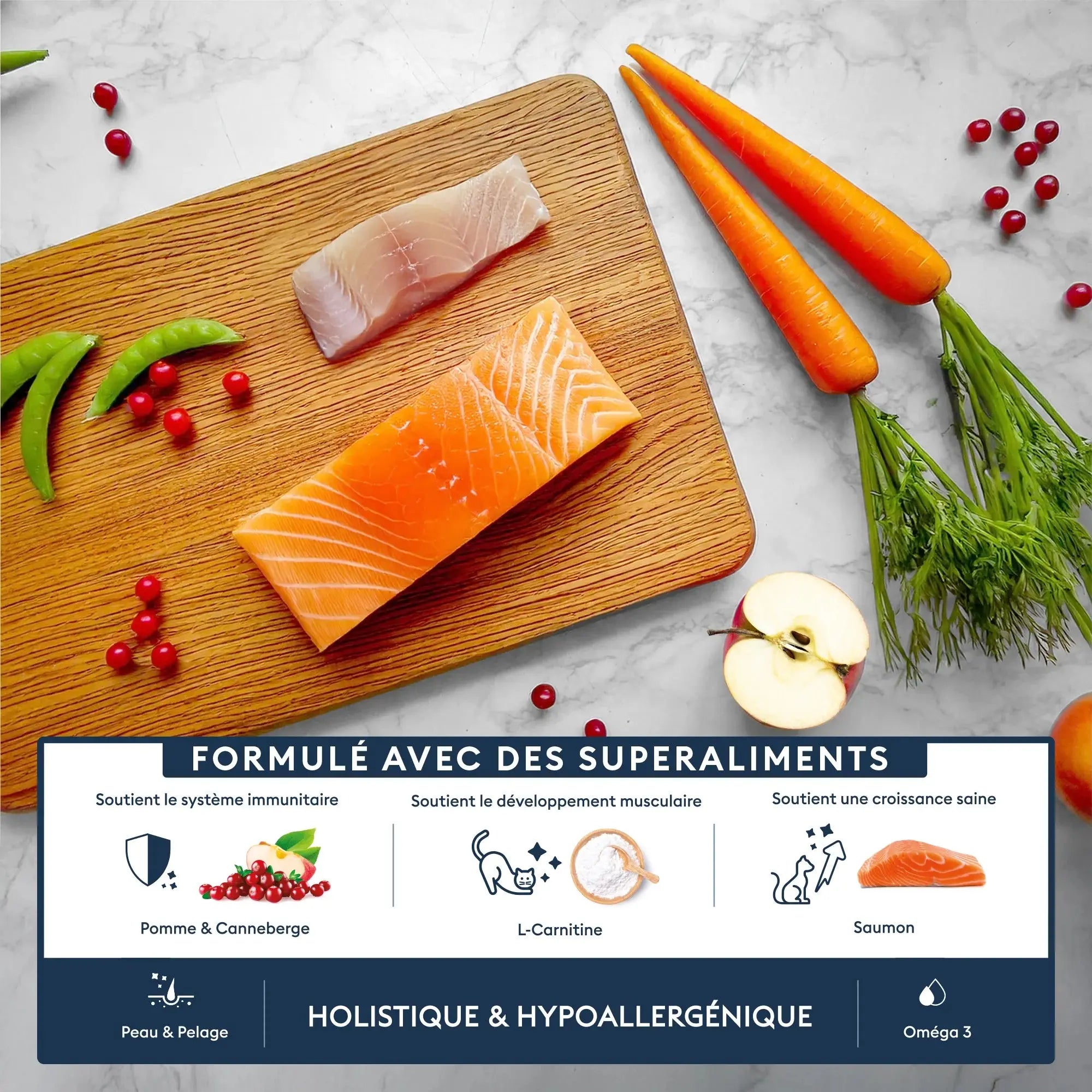 Marly & Dan -Croquettes Chaton Marly & Dan