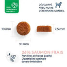 Marly & Dan -Croquettes Chien Adulte Grande Race Marly & Dan