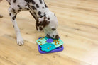NINA OTTOSSON – Lick N’ Flip – Jeu d’intelligence et slow feeder pour chien NINA OTTOSSON