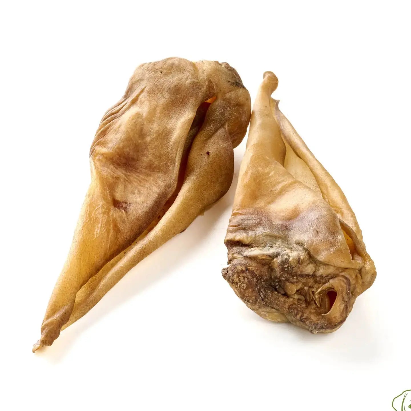 Oreille de Cheval DOG & CAT ETOILES