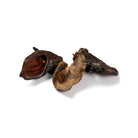 Oreille de Sanglier DOG & CAT ETOILES