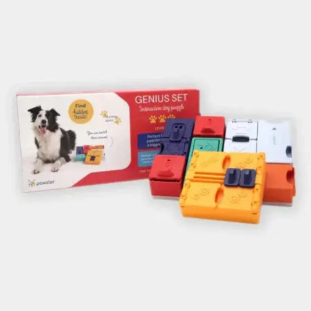 PAWZLER - Jouet d’intelligence – Genius set PAWZLER