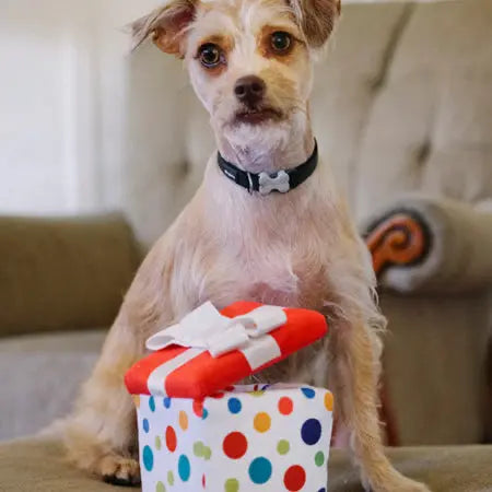 PET PLAY – Jouet en peluche pour chien Cadeaux d'anniversaire PET PLAY