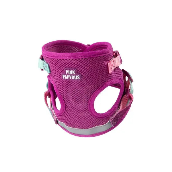 PINK PAPYRUS - Harnais et laisse Chat PINK PAPYRUS