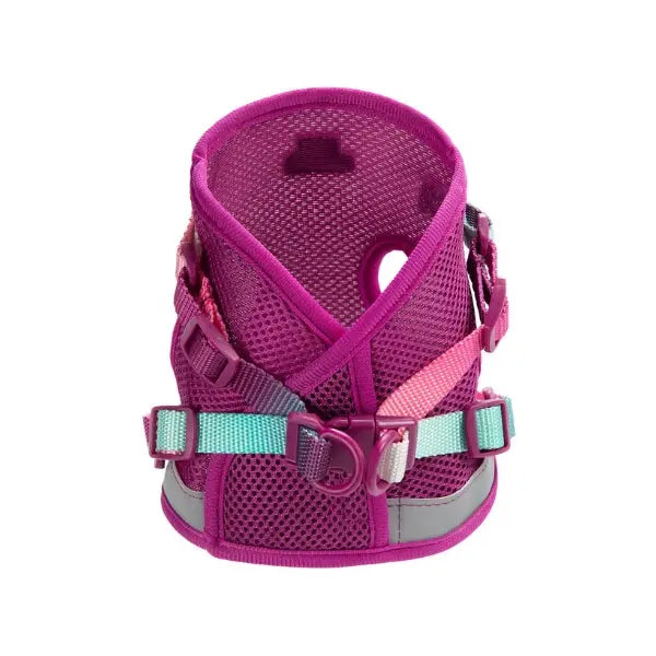 PINK PAPYRUS - Harnais et laisse Chat PINK PAPYRUS