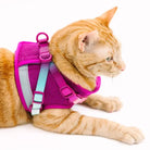 PINK PAPYRUS - Harnais et laisse Chat PINK PAPYRUS