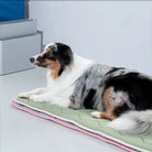 PUPPY GALLERY - Tapis Rafraîchissant - Mémoire de Forme Cool Wave PUPPY GALERY