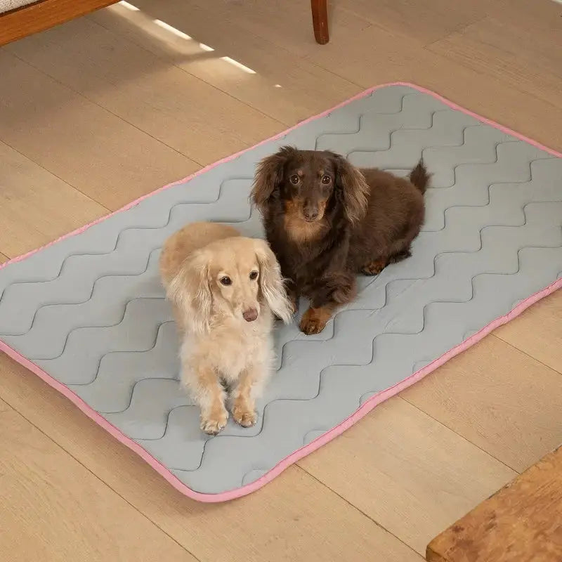 PUPPY GALLERY - Tapis Rafraîchissant - Mémoire de Forme Cool Wave PUPPY GALERY