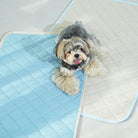 PUPPY GALLERY - Tapis rafraîchissant aéré pour animaux de compagnie PUPPY GALERY